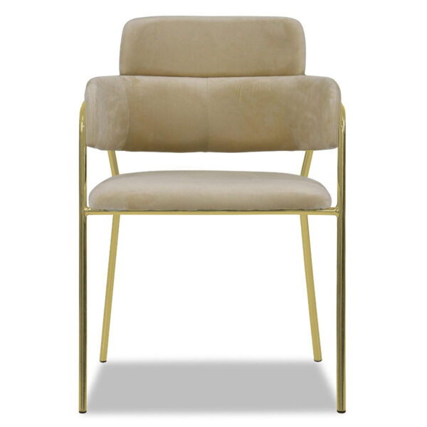 Emmiel Velvet Dining Chair with Gold Legs