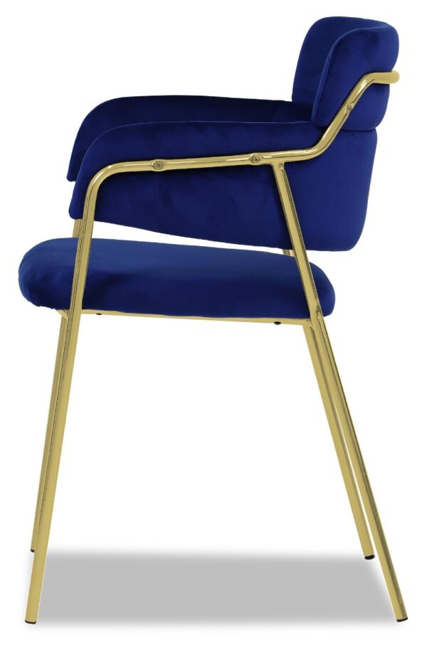 Emmiel Velvet Dining Chair with Gold Legs - Image 32