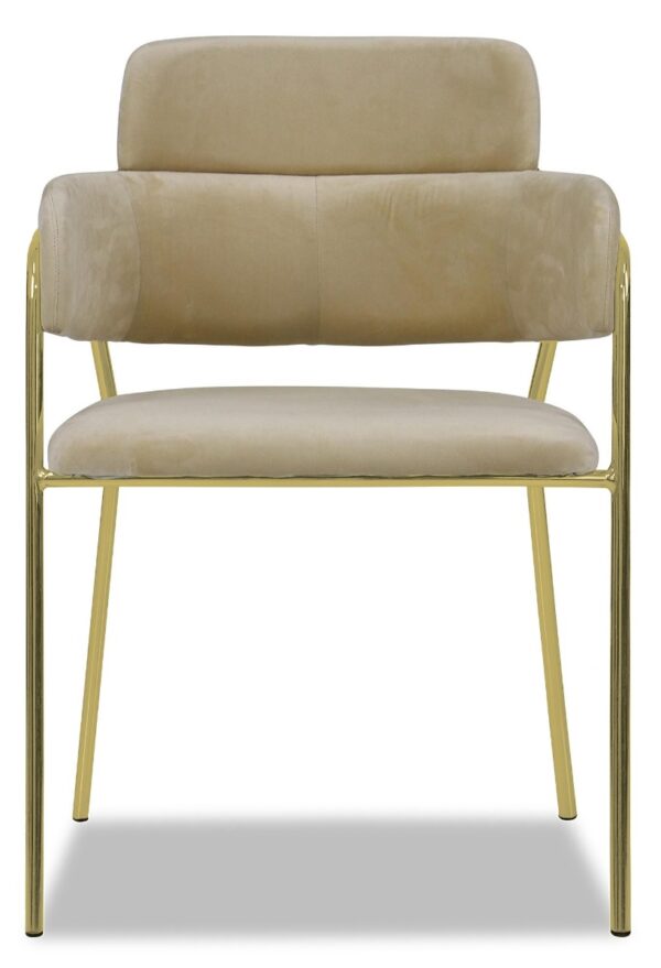 Emmiel Velvet Dining Chair with Gold Legs - Image 29