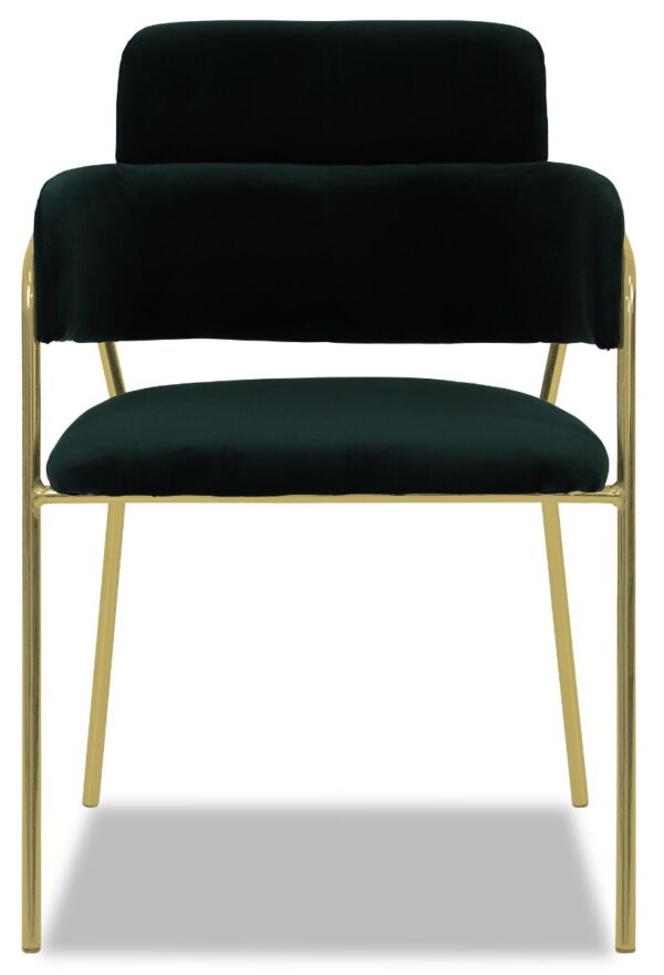 Emmiel Velvet Dining Chair with Gold Legs - Image 15