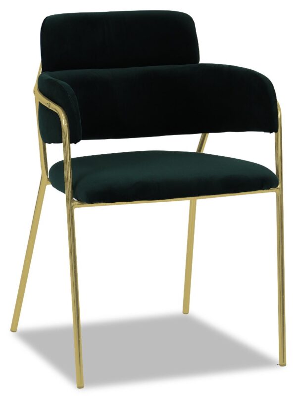 Emmiel Velvet Dining Chair with Gold Legs - Image 14