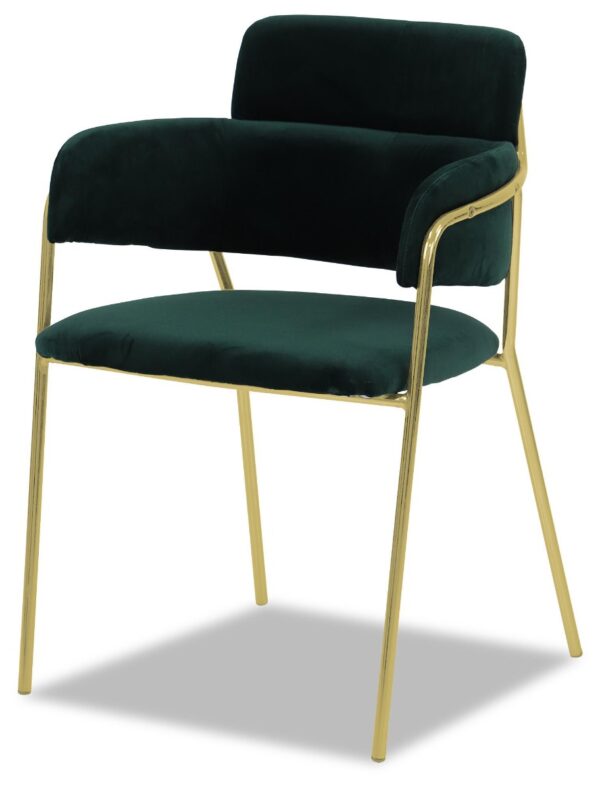 Emmiel Velvet Dining Chair with Gold Legs - Image 13