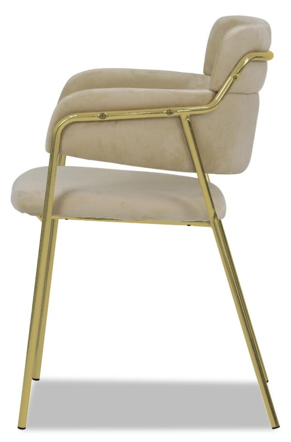 Emmiel Velvet Dining Chair with Gold Legs - Image 39
