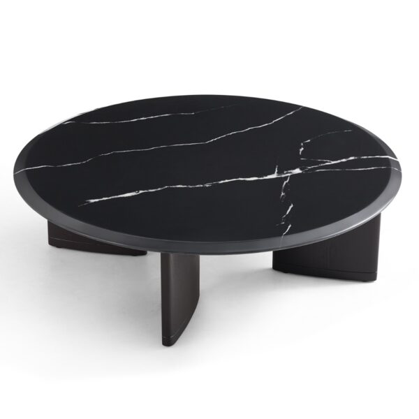 Reinier Coffee & Side Table Set – Black & White Wash - Image 2