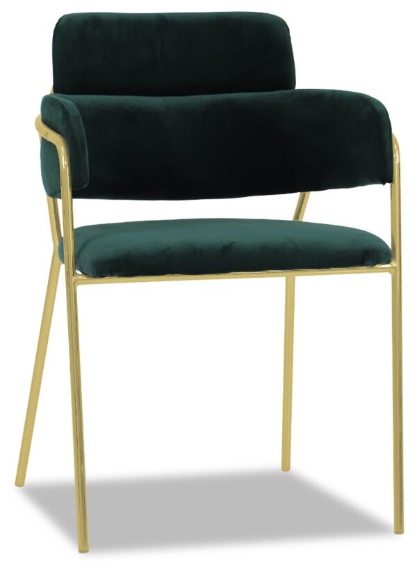 Emmiel Velvet Dining Chair with Gold Legs - Image 9