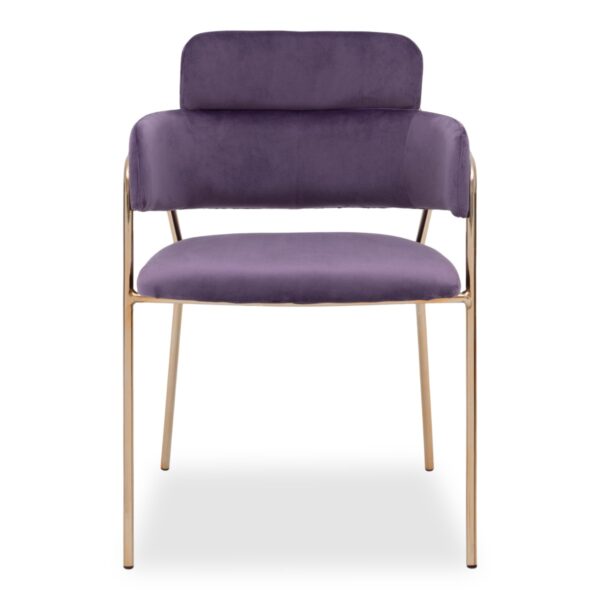 Emmiel Velvet Dining Chair with Gold Legs - Image 8