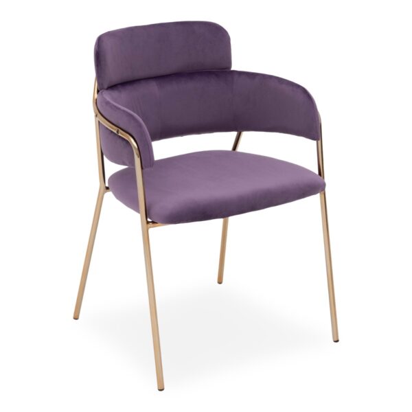 Emmiel Velvet Dining Chair with Gold Legs - Image 7