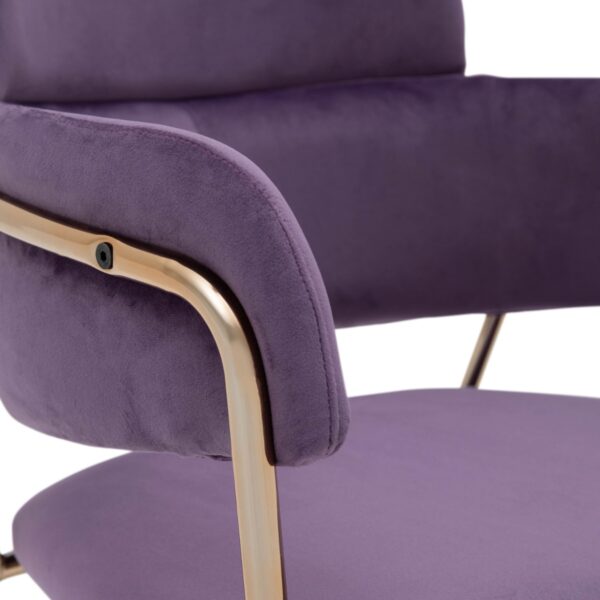 Emmiel Velvet Dining Chair with Gold Legs - Image 4