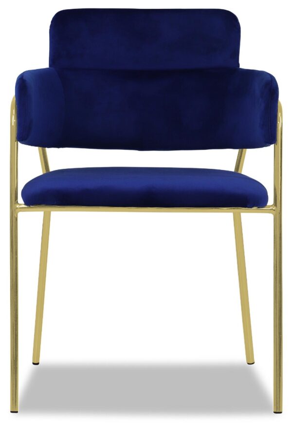 Emmiel Velvet Dining Chair with Gold Legs - Image 36