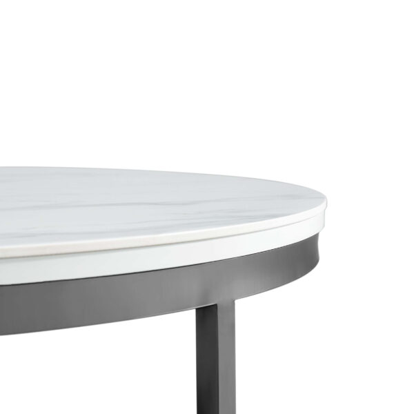 Dalmint Nesting Coffee Table - Image 14
