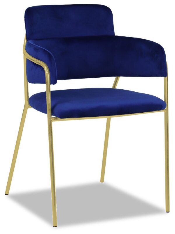 Emmiel Velvet Dining Chair with Gold Legs - Image 35