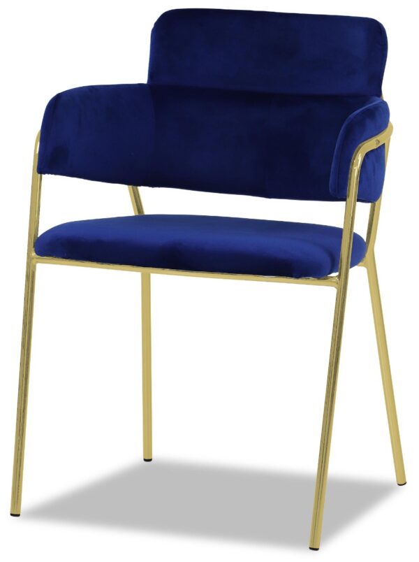 Emmiel Velvet Dining Chair with Gold Legs - Image 34