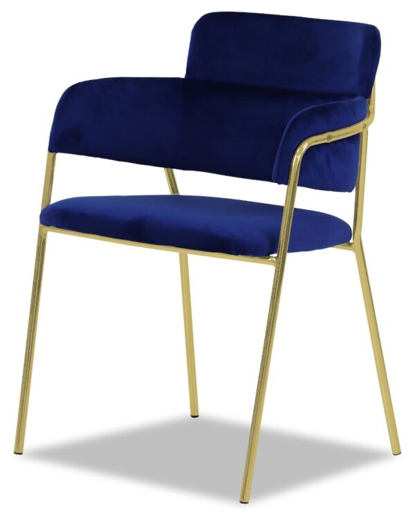 Emmiel Velvet Dining Chair with Gold Legs - Image 33